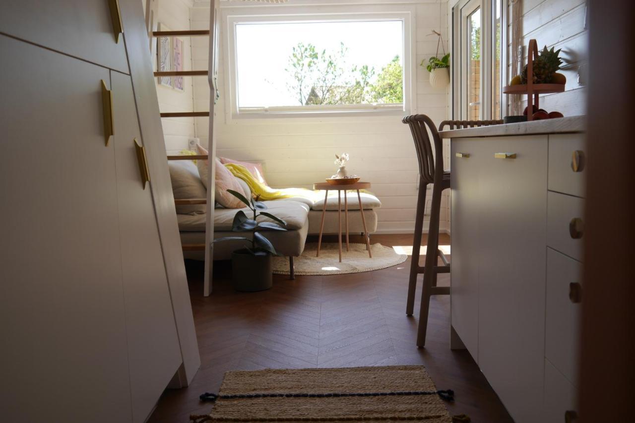 Tiny House Gaensebluemchen Βίλα Kirchanschoring Εξωτερικό φωτογραφία